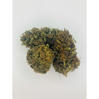 Verte & Rebelle | Le producteur de CBD Médocain